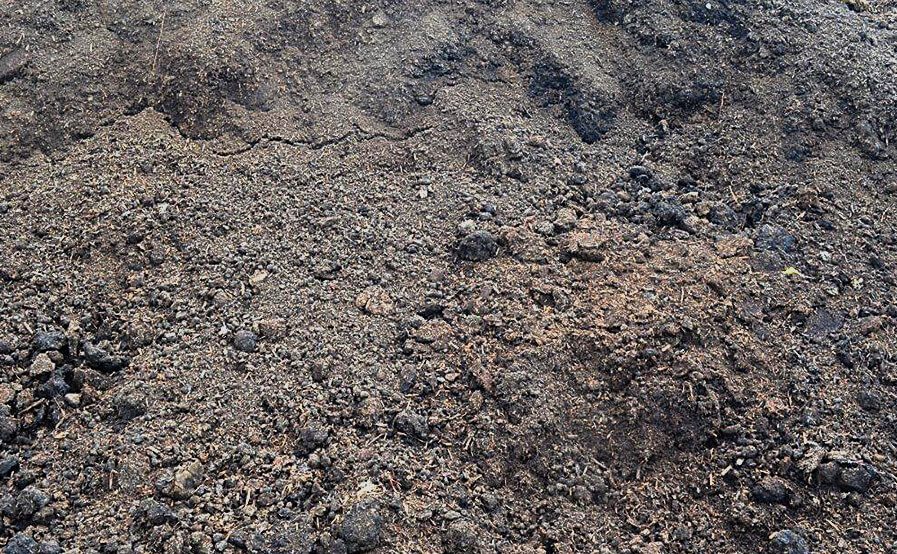 copmpost-mushroom-manure copmpost-mushroom-manure