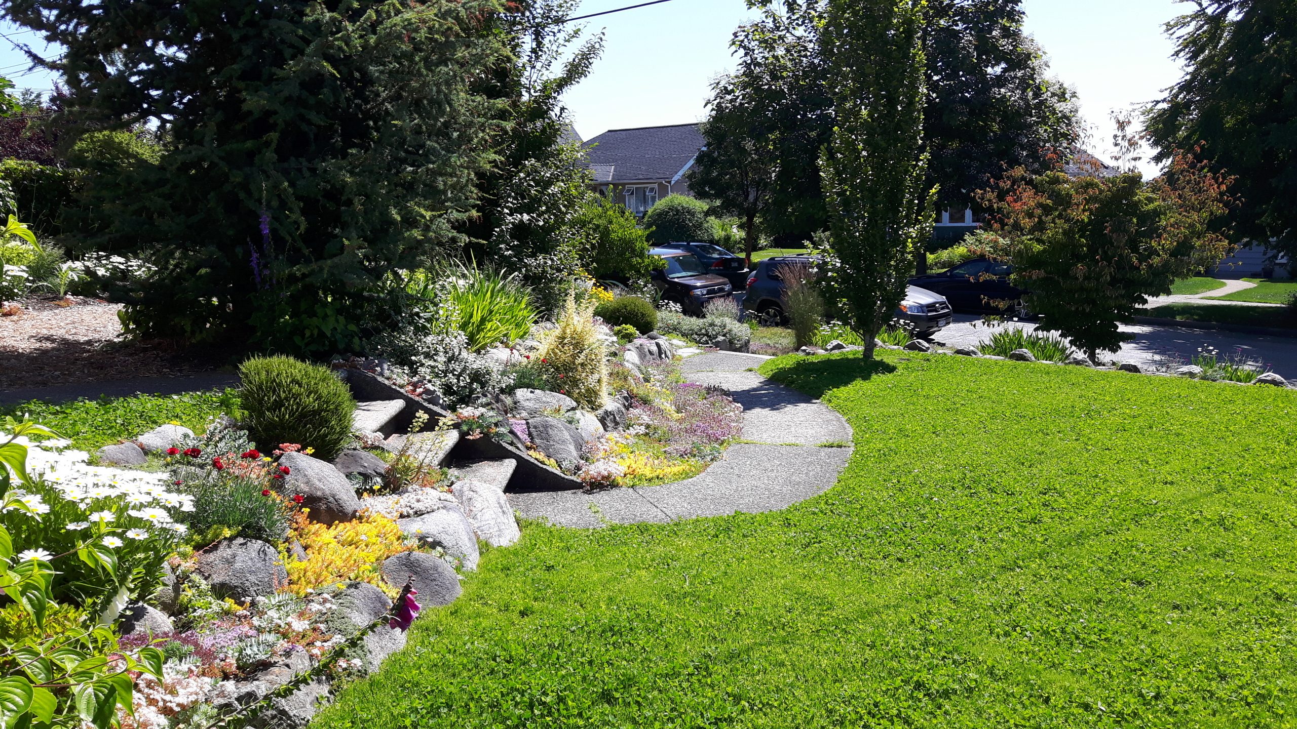 Microclover NW 2017 2(2)