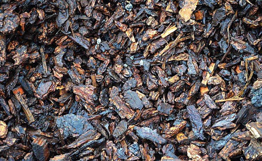 bark-nugget bark-nugget