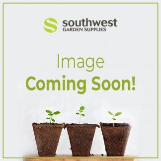 SW garden image coming soon